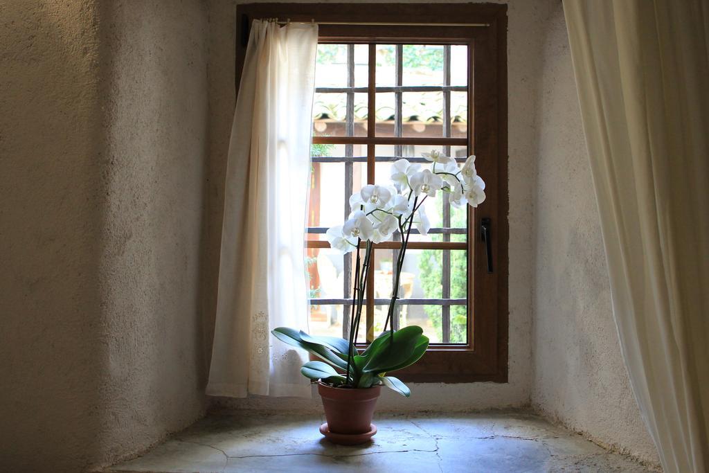 Posada Restaurante Casa De La Sal กันเดลาริโอ ภายนอก รูปภาพ